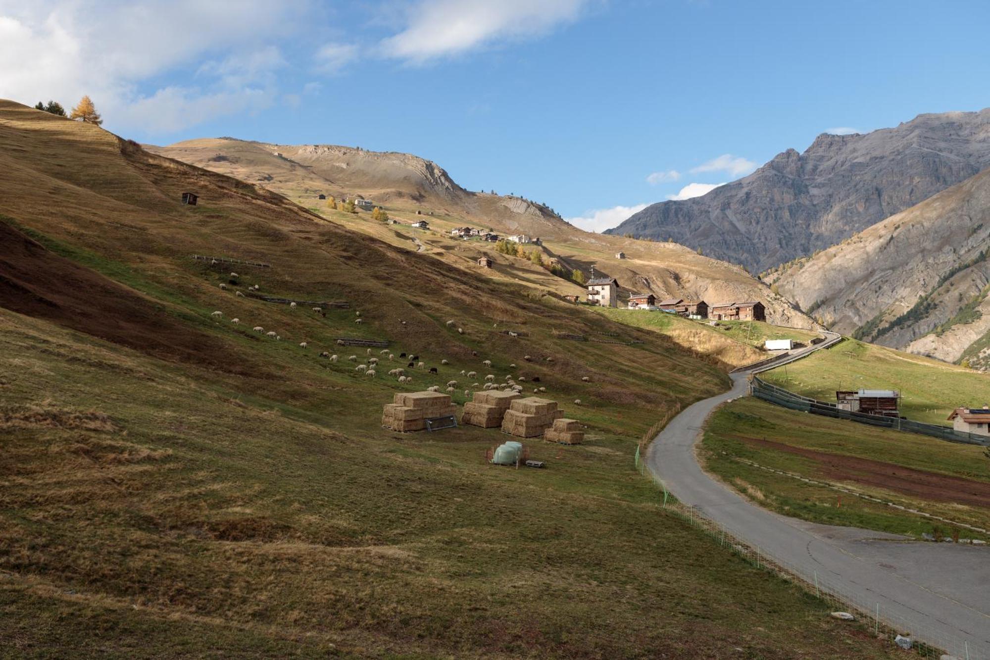 Apartment Il Nocciolo Livigno Dış mekan fotoğraf
